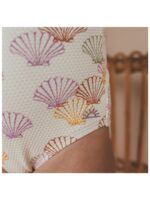 Shells | Badpak - SALTED STORIES